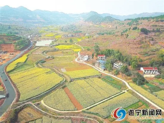 致富经雷鸣都_致富经竹虫_致富经雷竹