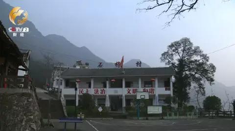 湖北90后养殖豪猪致富_湖北《致富经》_湖北致富项目