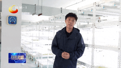 【一年之计在于春】岚县：科技育种 激活马铃薯“芯”动力