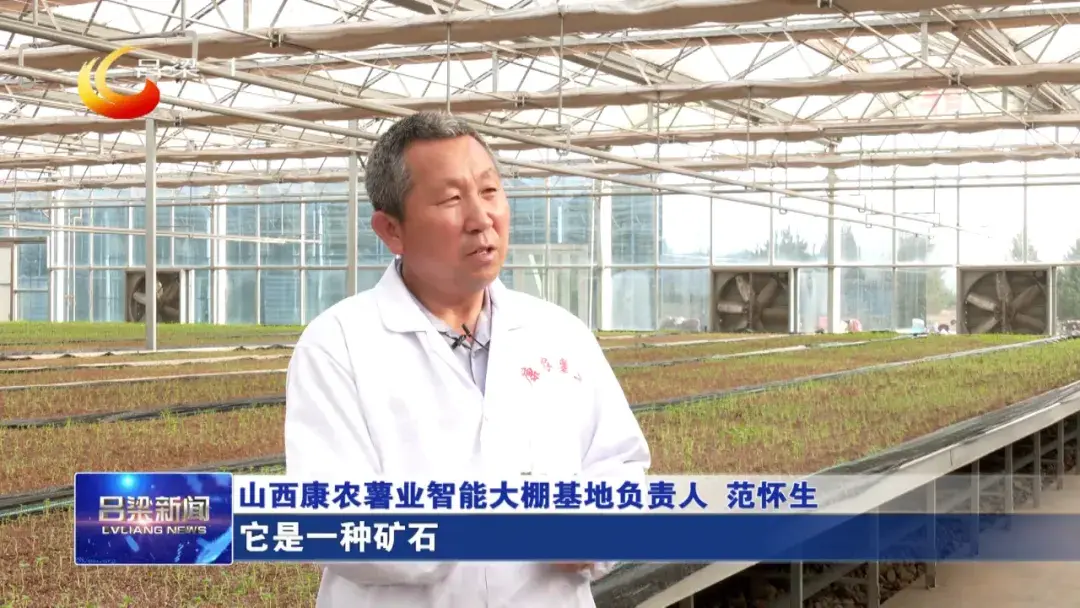 拱棚土豆种植技术视频_土豆小拱棚十地膜种植技术_视频土豆拱棚种植技术教程