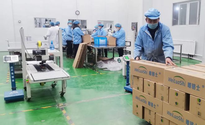 骆驼养殖致富新闻_骆驼养殖前景_致富经骆驼养殖