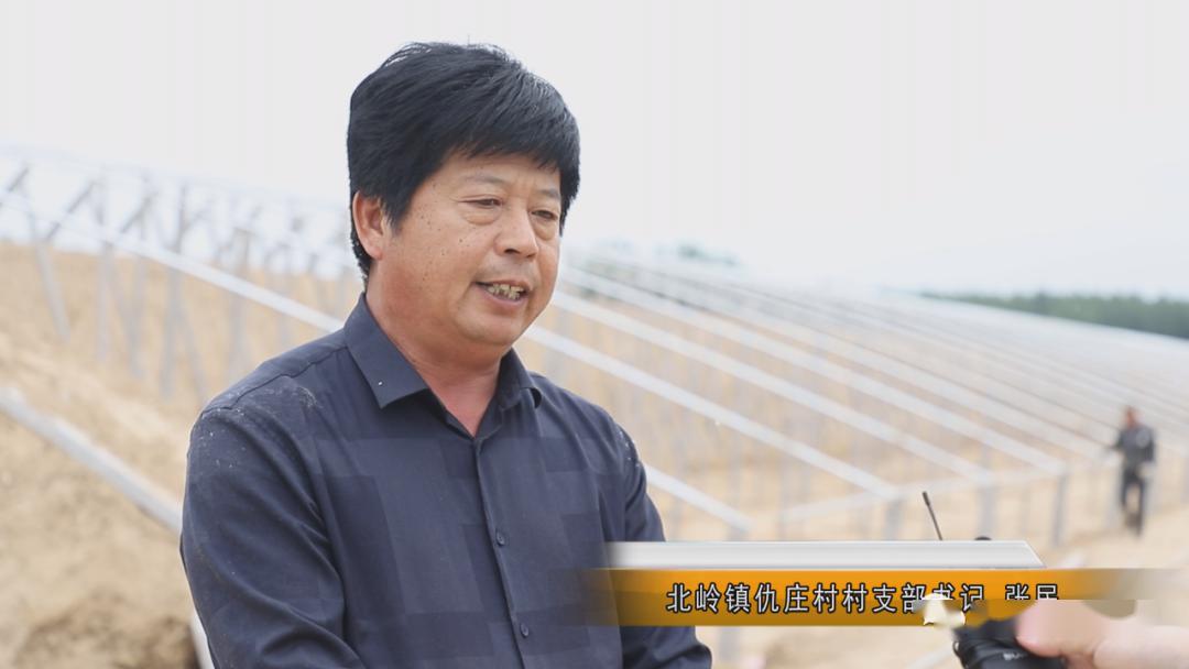 致富立体种植项目有哪些_农村立体种植_立体种植致富项目