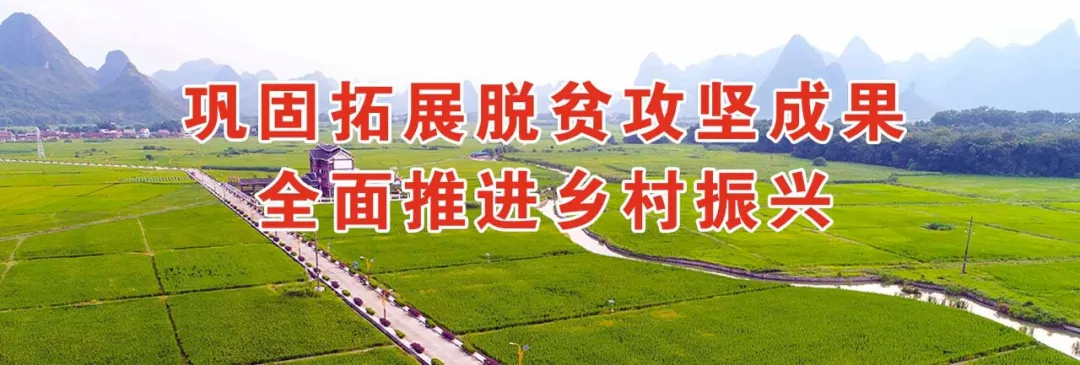 竹鼠养殖成本与风险_农村竹鼠养殖_竹鼠养殖技术每日农经