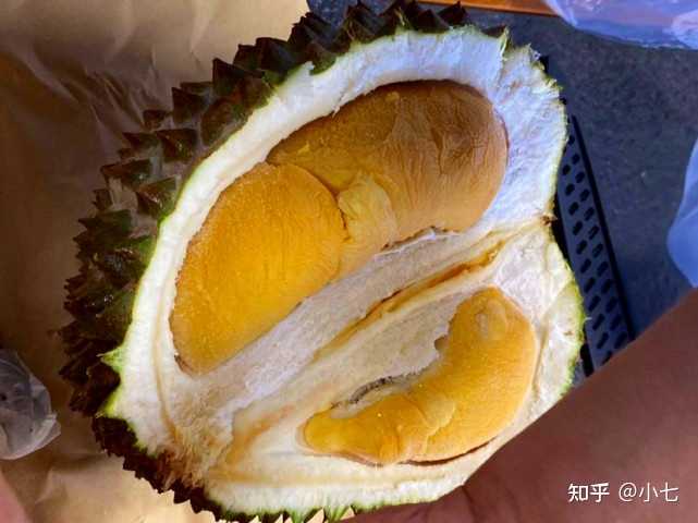 榴莲种植技术视频教程_榴莲种植技术视频cctv7_种榴莲的方法视频