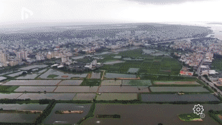 澳洲淡水龙虾致富经_澳洲淡水龙虾赚钱吗_致富经淡水澳洲龙虾视频
