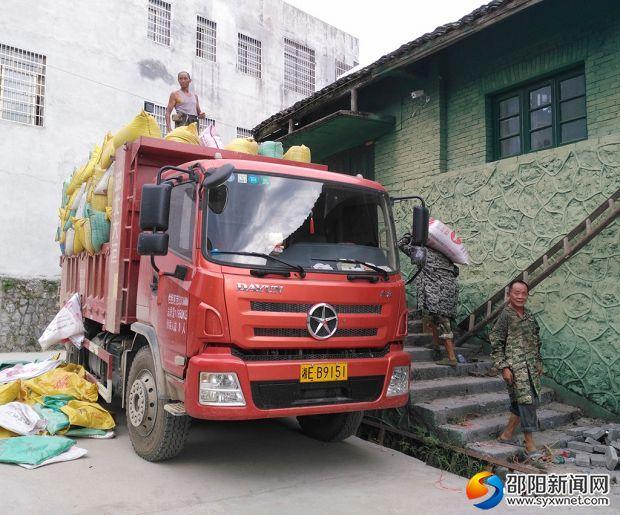 致富经猪粪种水稻_水稻喂猪_稻田猪粪太多怎么处理
