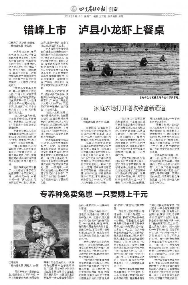 猪粪太多能种稻谷吗_稻田猪粪太多怎么处理_致富经猪粪种水稻