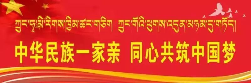 黑人参种植技术与地块要求_黑人参的种植技术_黑人参种植致富