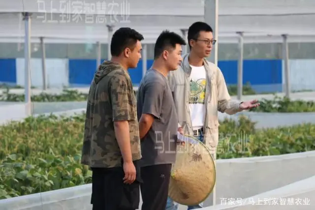 四川养蟾蜍基地致富经_四川养蟾蜍基地致富经_四川养蟾蜍基地致富经