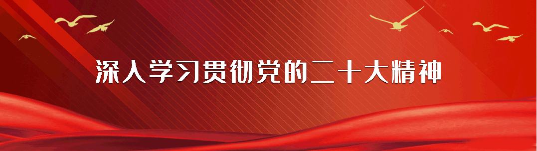 聚人才之智 汇发展之力 | 伊宁市教育系统6人获选自治区“天山英才”计划教育教学名师