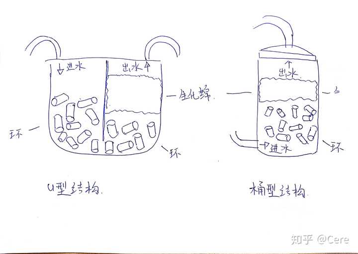 致富养殖草龟图片_致富养殖草龟怎么样_养殖草龟致富