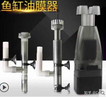致富养殖草龟怎么样_养殖草龟致富_致富养殖草龟图片