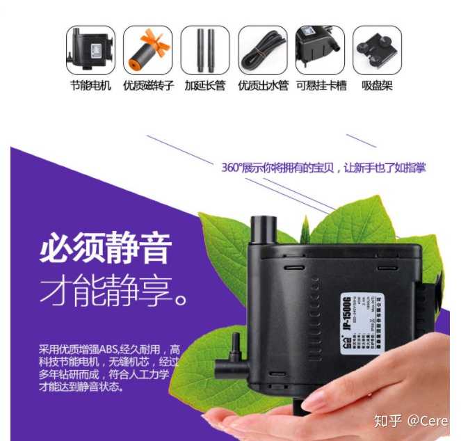 养殖草龟致富_致富养殖草龟图片_致富养殖草龟怎么样