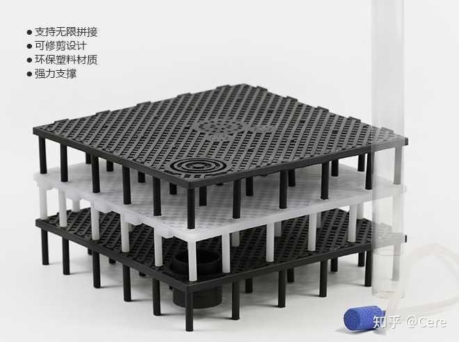 致富养殖草龟怎么样_致富养殖草龟图片_养殖草龟致富