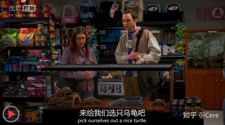 致富养殖草龟怎么样_致富养殖草龟图片_养殖草龟致富