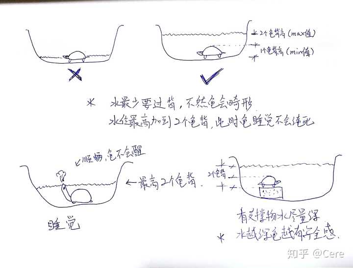 养殖草龟致富_致富养殖草龟图片_致富养殖草龟怎么样