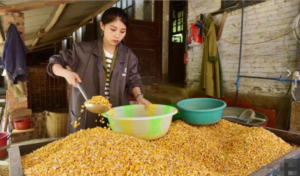 致富养殖央视豪猪视频_2020年最火的养殖豪猪_央视豪猪养殖致富