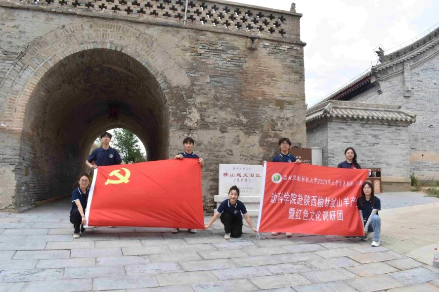 致富经养绒山羊_养殖绒山羊_养殖绒山羊效益怎么样