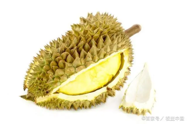 关于榴莲的高效种植技术
