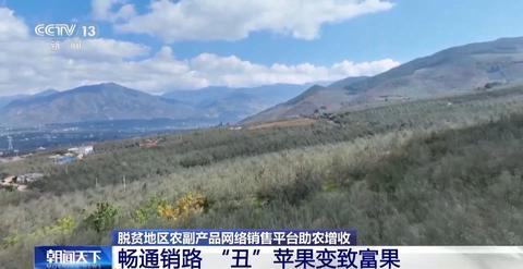 致富经萍果_致富经种植苹果发财视频_致富经响富苹果