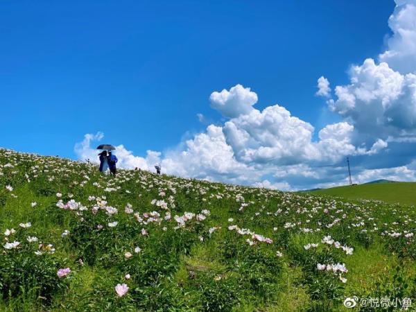 抖音旅游优质博主经验_旅游博主抖音简介怎么写_抖音旅游类博主