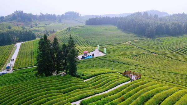 抖音旅游类博主_旅游博主抖音简介怎么写_抖音旅游优质博主经验