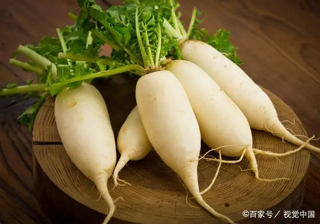 广东农村萝卜种植技术_萝卜种植技术视频_萝卜种植小技巧