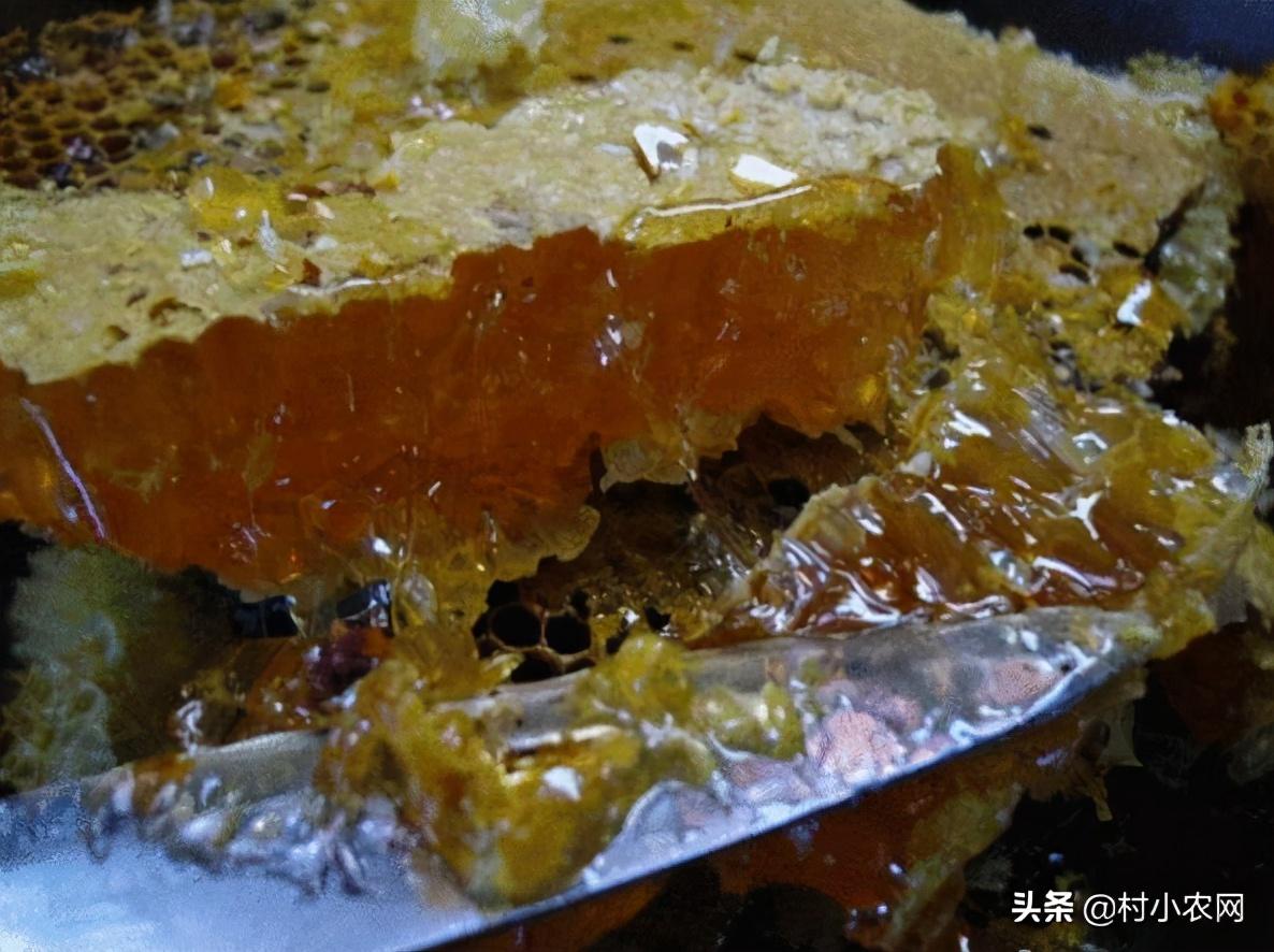 农业致富好项目种植_农业种植致富小项目有哪些_农村致富新项目种植业