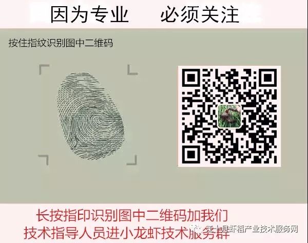 养殖人工田螺技术视频_田螺人工养殖技术_养殖人工田螺技术规范