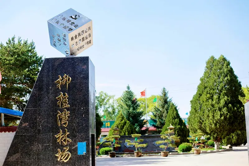 文冠果种植技术视频_种植文冠果树前景如何_文冠果种植致富