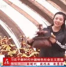 灵芝撑起致富伞 香菇育出脱贫路