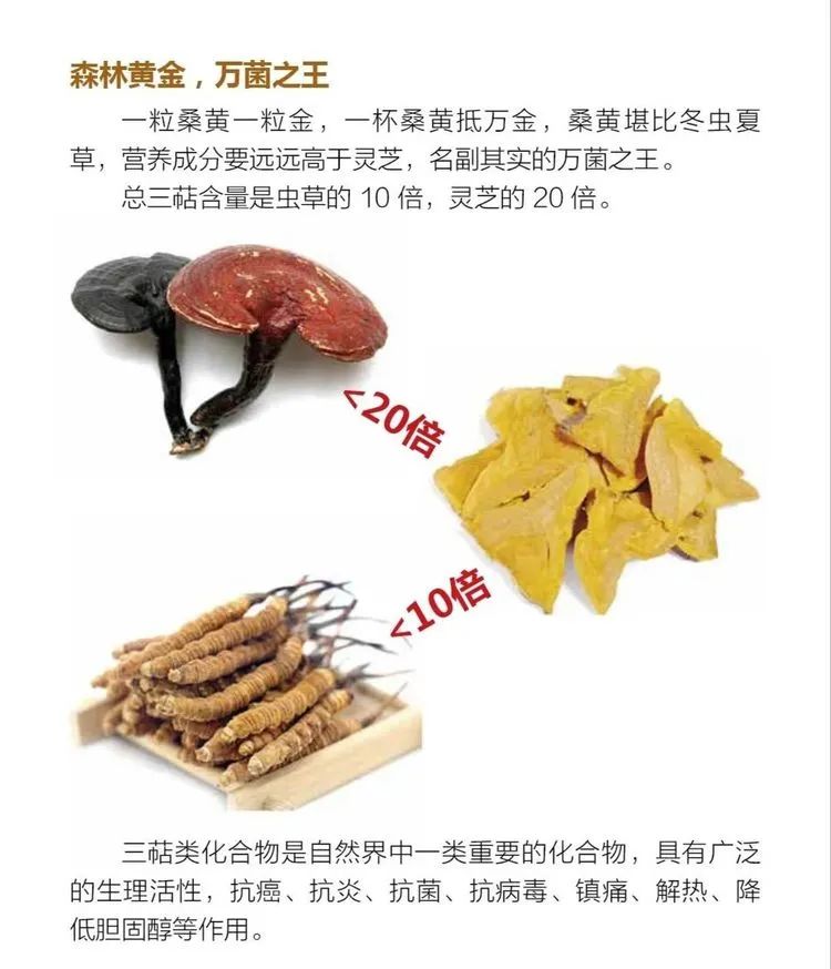 种植致富20个好项目_致富经种植项目_致富种植项目名称