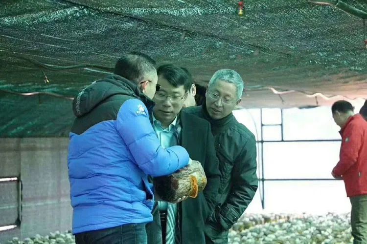 致富种植项目名称_致富经种植项目_种植致富20个好项目