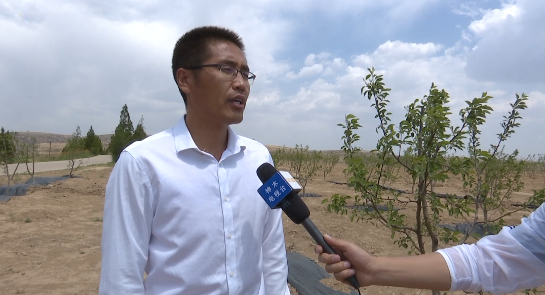 致富经种植项目_致富种植项目有哪些_种植致富20个好项目