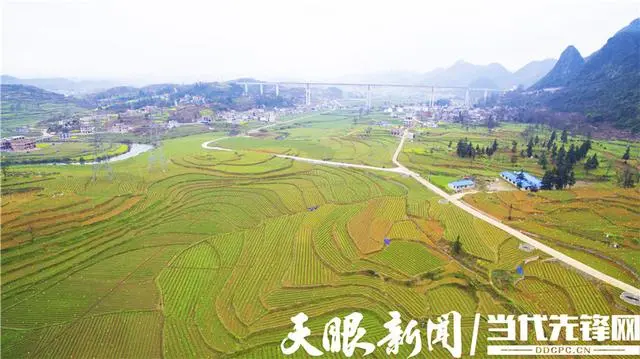 普定：特色产业铺就致富路
