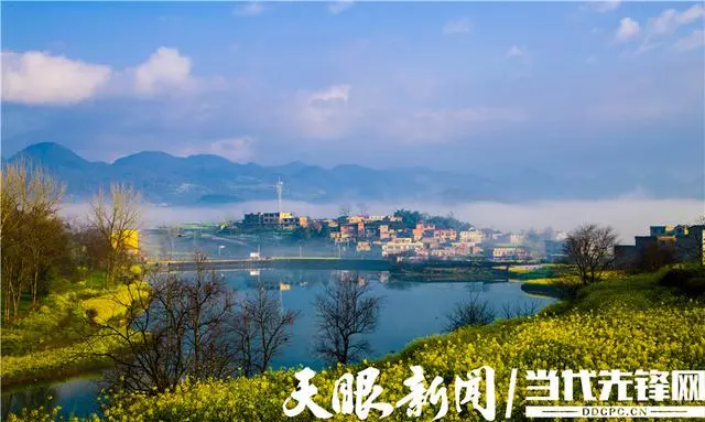 种植脱贫致富的故事_脱贫致富种植黄金奈李挂果_种植 脱贫致富