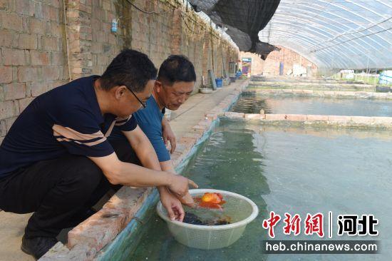 合作养殖致富地点_养殖致富项目农村_本地养殖致富
