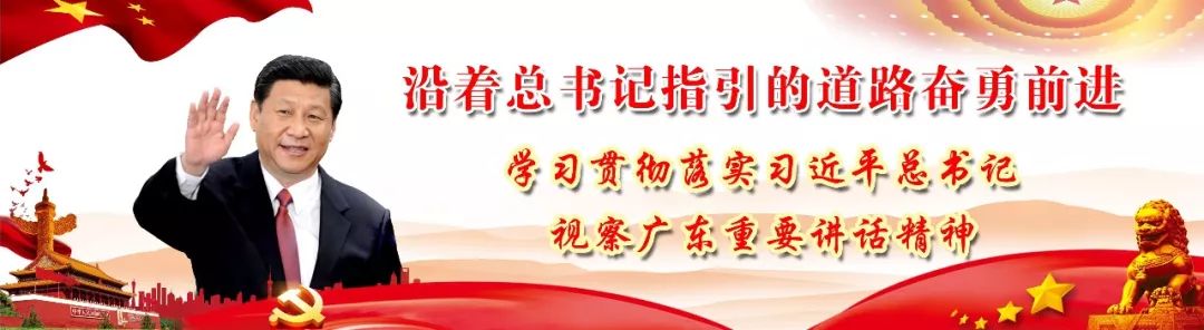 致富经养猪视频播放_致富经养土猪视频播放_致富经养土猪视频