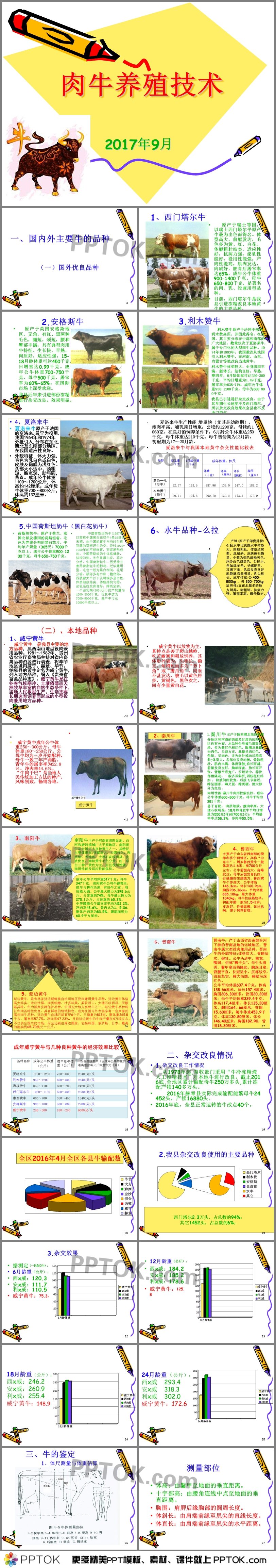 肉牛养殖技术培训课件