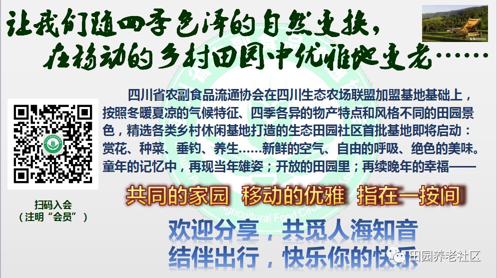盆景种植技术_如何种植盆景_种植盆景技术要求