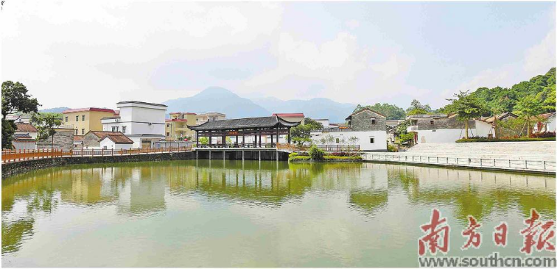 云浮新兴：“政企村共建”养殖小区助力兴业强村富农 “三轮驱动”壮大村级集体经济