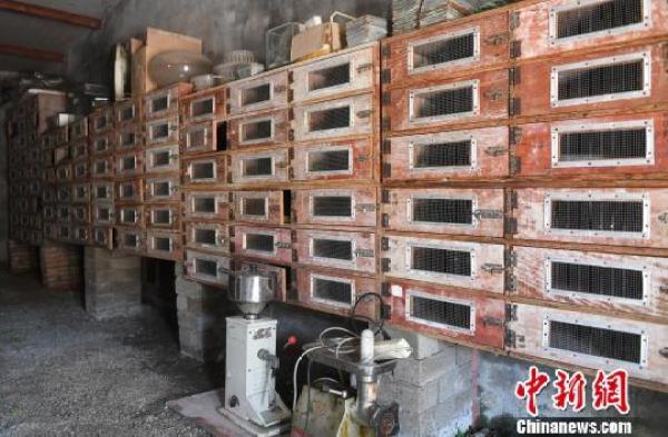 致富网养殖业_致富网养殖_致富网养殖项目
