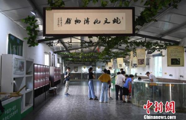 致富网养殖业_致富网养殖项目_致富网养殖