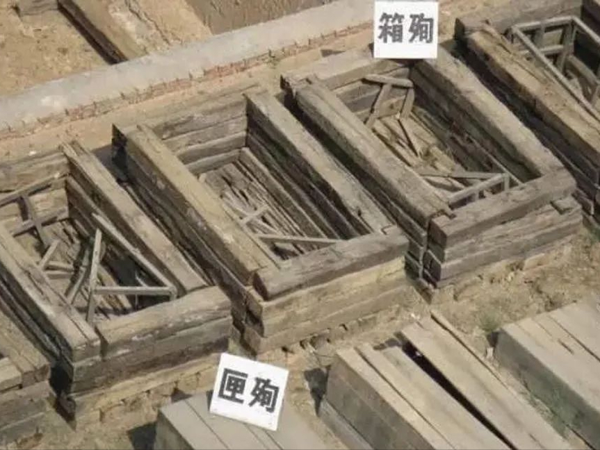 蟾衣功效_天然蟾衣_央视致富经蟾衣
