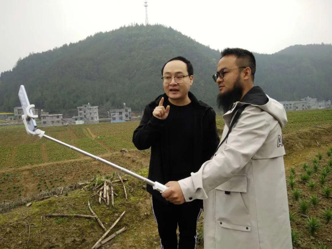种植鲜花批发致富_鲜花批发赚钱不_种植花卉致富
