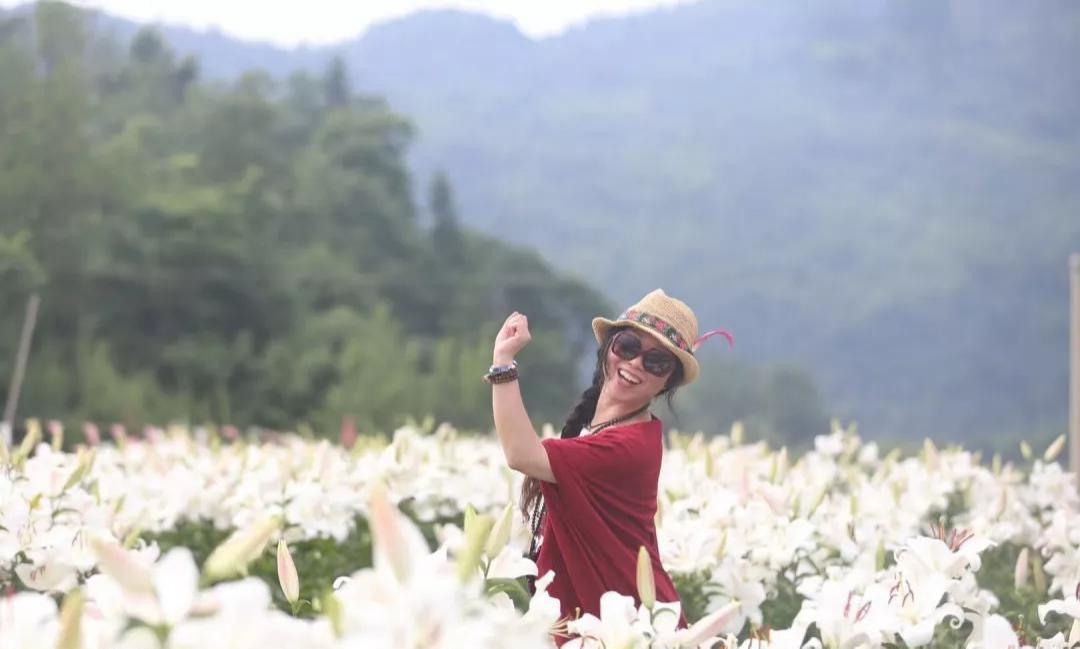 种植花卉致富_种植鲜花批发致富_鲜花批发赚钱不