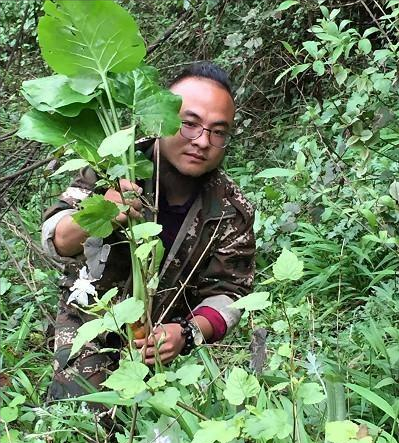 鲜花批发赚钱不_种植花卉致富_种植鲜花批发致富