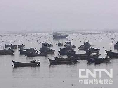 [致富经]骨科医生潜入海底发现的财富(20111018)