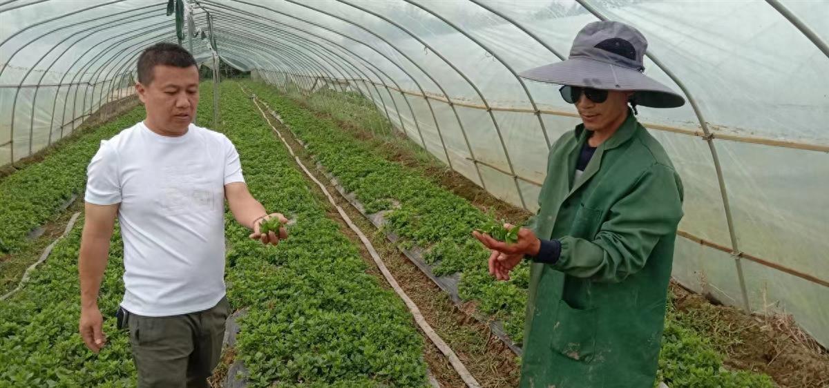 以黑水虻养殖为核心创新循环种养，看这座年产值3000万元的家庭农场如何迸发新质生产力