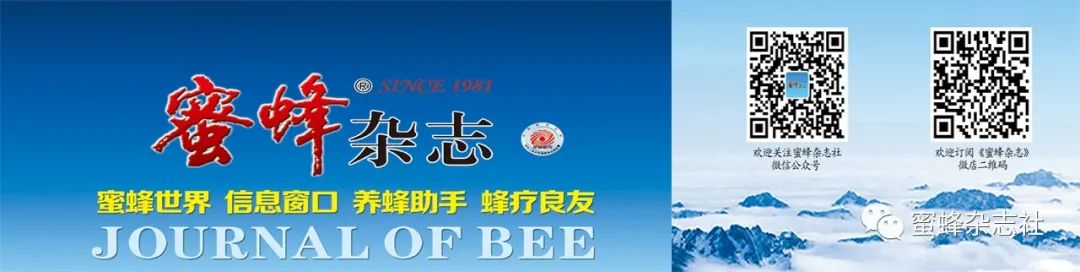 蜂蜜的养殖技术_蜂蜜养殖技术可以申报非遗吗_蜂蜜养殖技术和收入